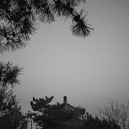 《全面战争：法老》公布发售日期 展示战役地图